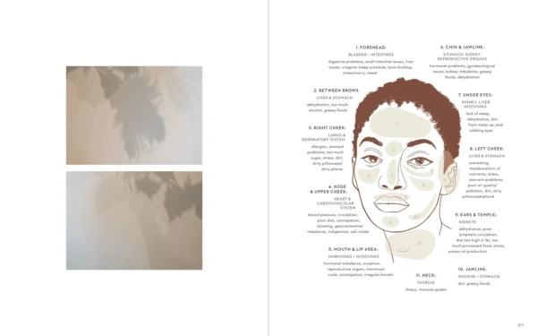 Truth in Beauty eBook - 2nd Edition The Ultimate Resource on Holistic Beauty - Image 4